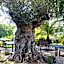 Vitalhotel König am Park