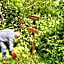 B&B Leofreni Natura