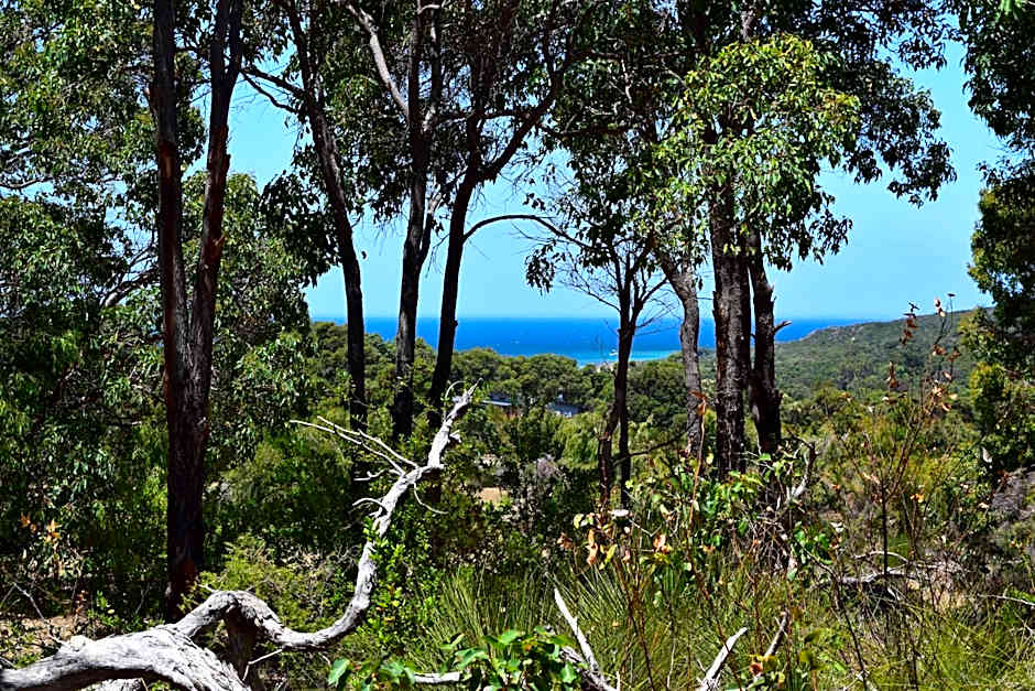Eagle Bay House