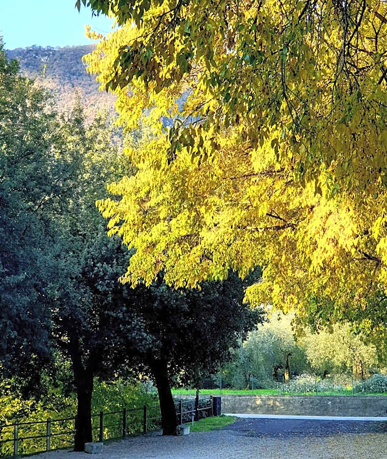 La Berlera - Riva del Garda