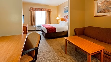 Suite-1 King Bed, Non-Smoking, Microwave And Refrigerator, Flat Screen Television, Sofabed, High Spe