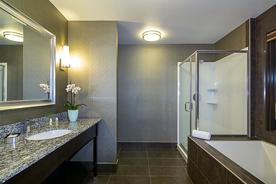 Holiday Inn Hotel & Suites Milpitas