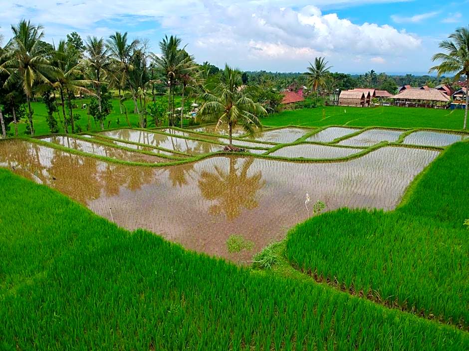 Pondok Indah Bungalows Tetebatu