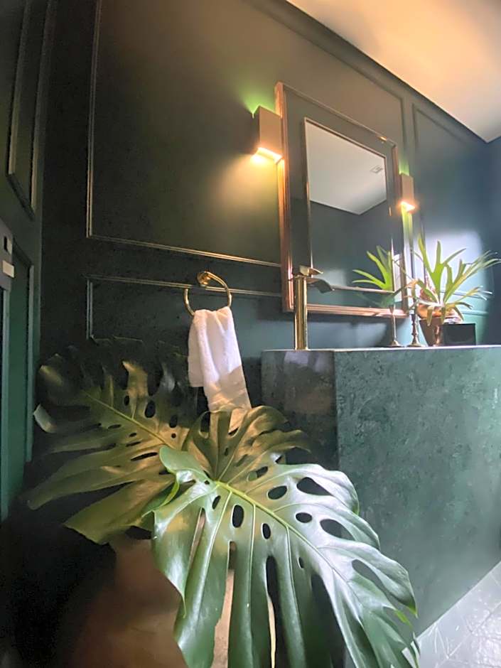 Exclusive Oásis by Lotta De Macedo Soares