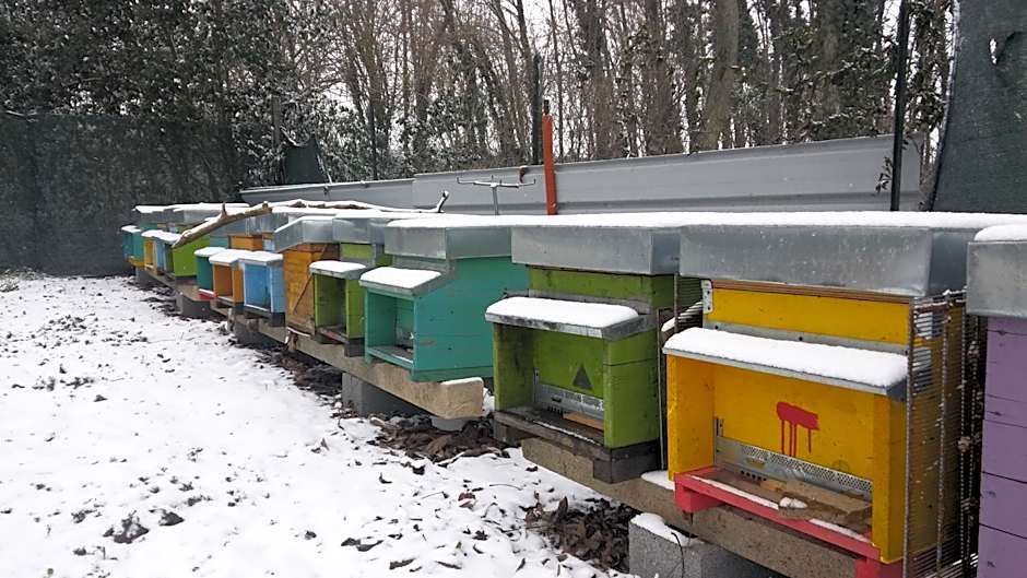 Agriturismo Honey Farm