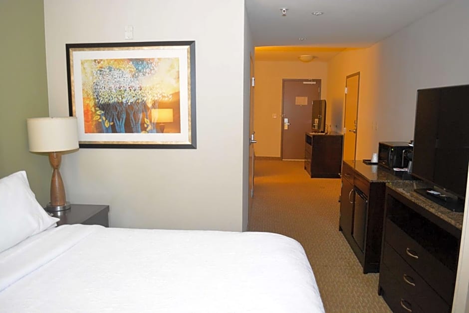 Hilton Garden Inn Houston/Pearland