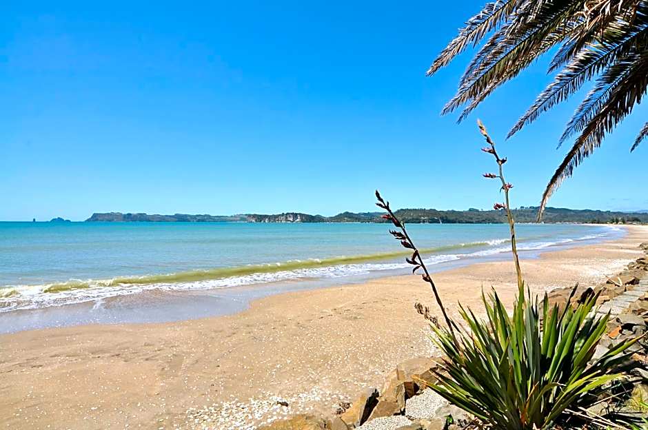 Whitianga Campground