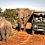 Pumba Private Game Reserve