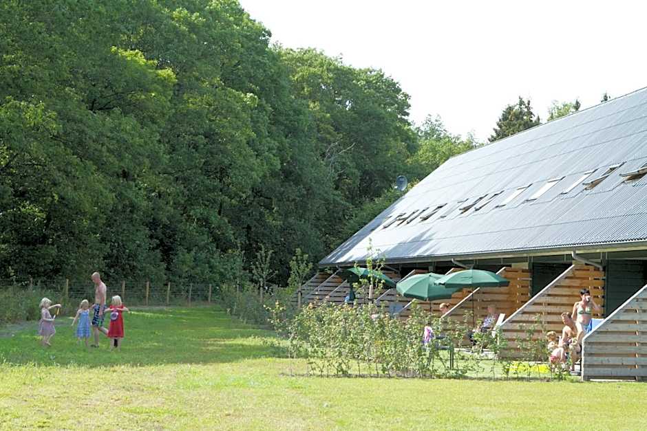 Horsetellerie Rheezerveen