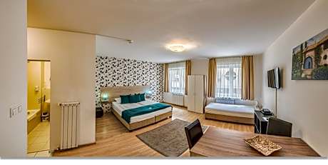 Standard Apartment 1 bedroom