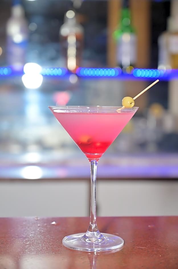 Hotel Ambience Excellency