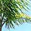Giardini di Marzo Lecce B&B