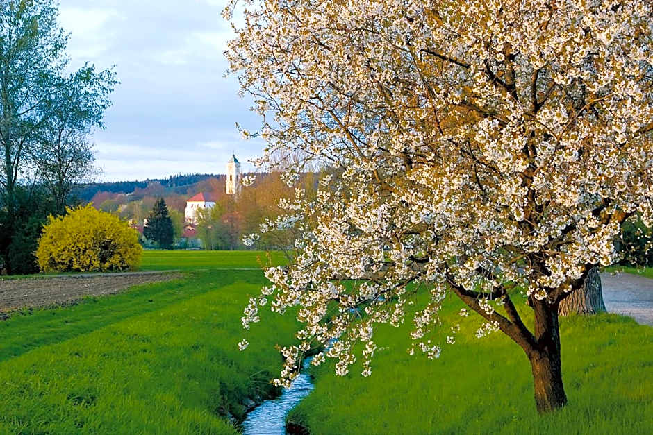 Best Western Aparthotel Birnbachhohe