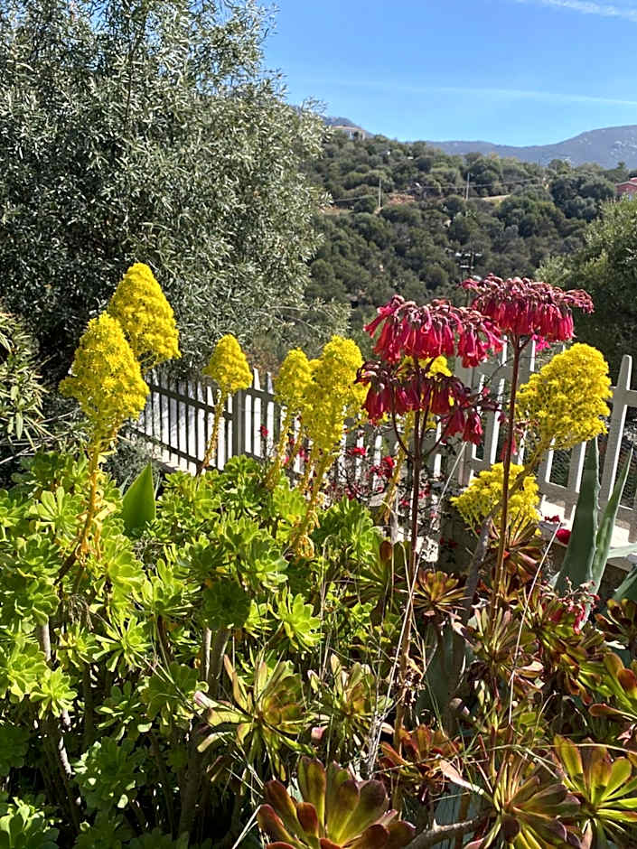 Villa Bella Salmagi - Surya Sardinia Holidays & Yoga