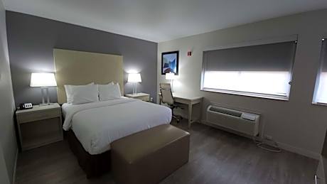 Queen Suite