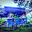 The Willow Phangan