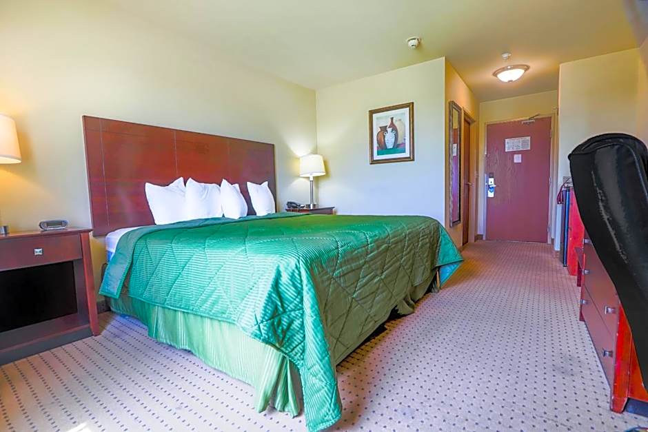 Evansville Inn & Suites by OYO