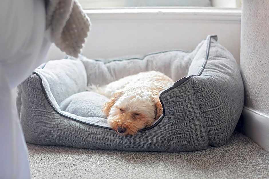 The Tavern - Steakhouse and Lodge