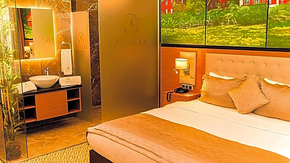 Aselia Hotel Trabzon