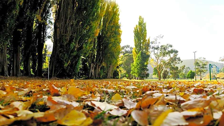 New Norfolk Junction Motel