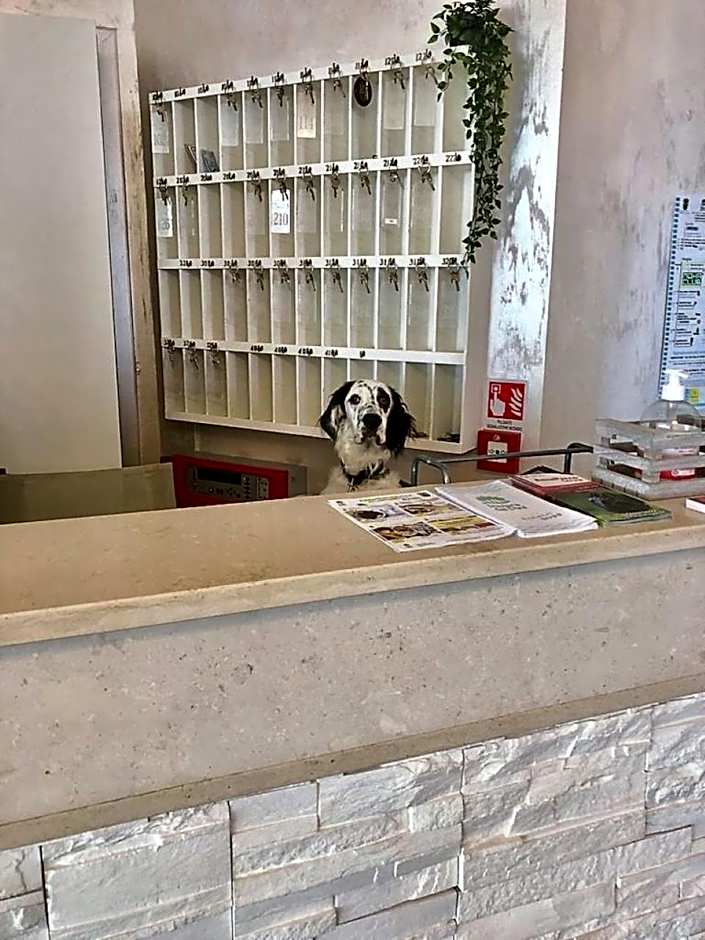 Hotel President
