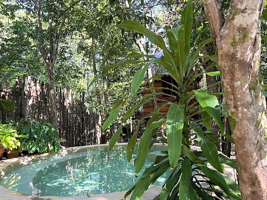 Selvaluna cabaña eco-chic