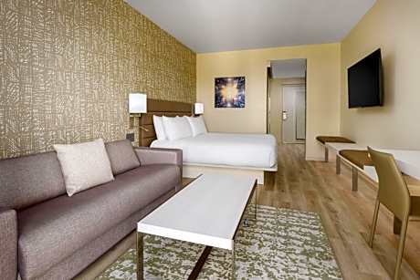 King Room with Sofa Bed - Hearing Accessible
