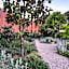 Hotel Eden Park by Brava Hoteles