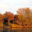 Bed and Breakfast De Biesbosch - in 't Riet