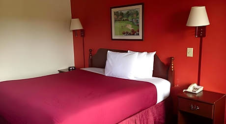 1 KING BED SUITE NONSMOKING