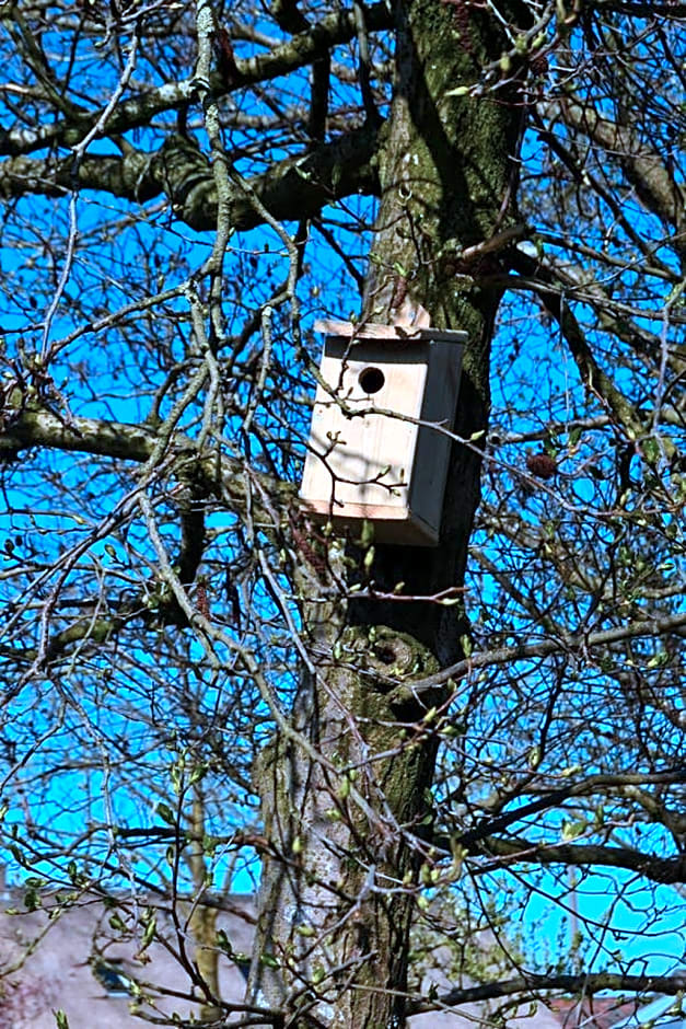 B&B de Boerenzwaluw