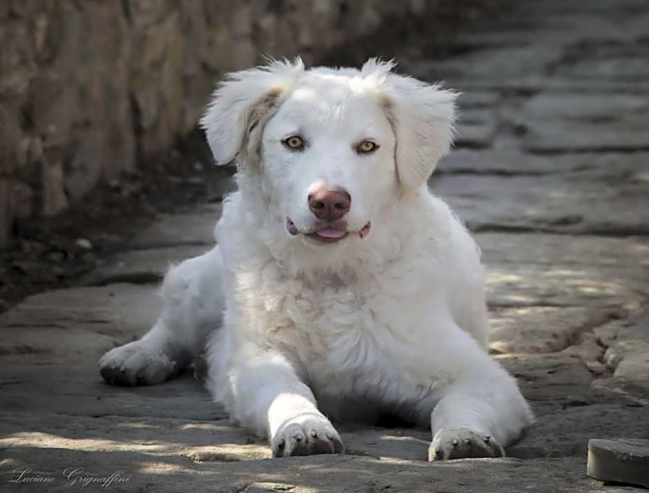 "Borgo Gerbina" Agriturismo & Azienda agricola