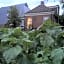Onder De Boom