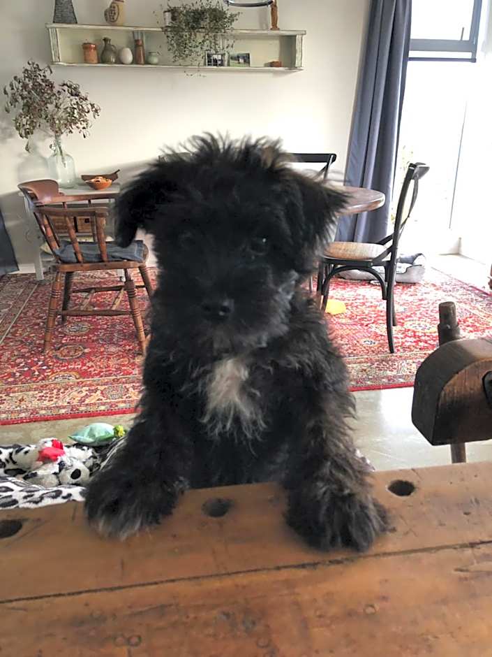 Cosy Country Stay B&B