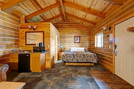 King Studio with Sofa Bed