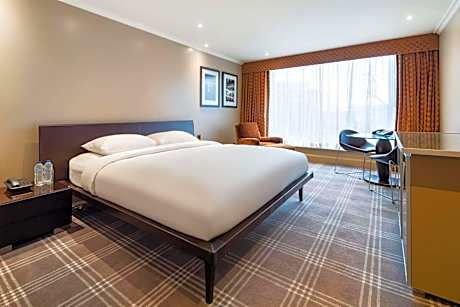 Business Double Room