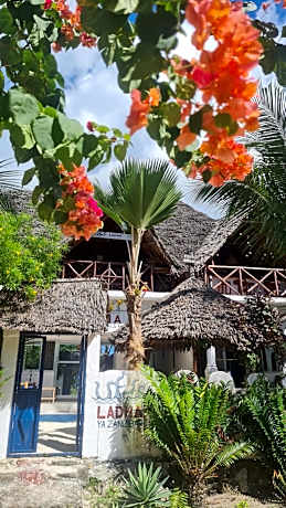 Beachhouse with AC, wifi, generator breakfast incl
