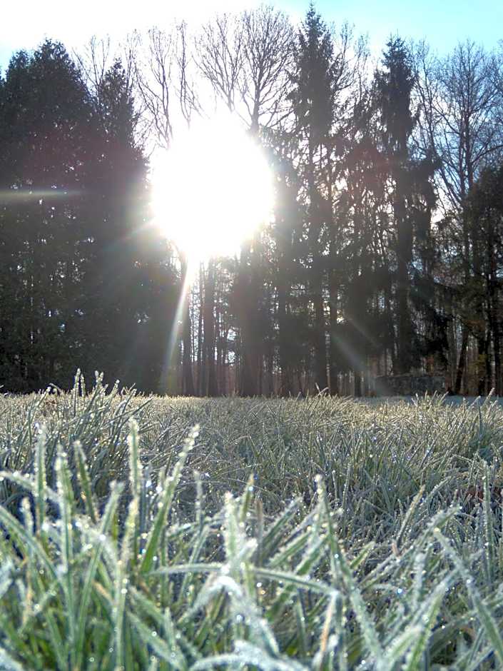 La Clairière du Verbamont