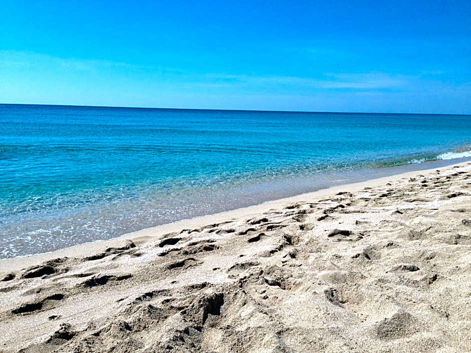 Canneddi Boutique Farm