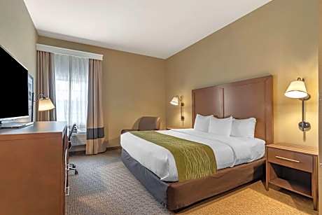 1 King Bed, Nonsmoking, Accessible