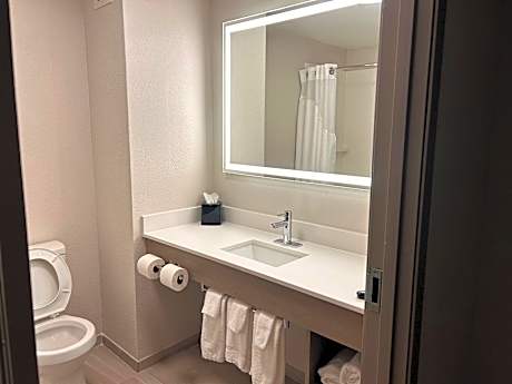 1 King Bed With In Room Jacuzzi Non-Smoking