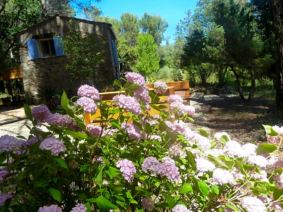 Villa Les Oliviers