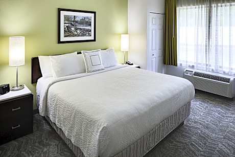 Suite, 1 King Bed with Sofa bed (1 King Bed and 1 Double Sofa Bed)