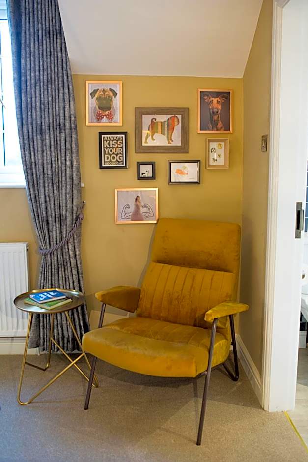 The Dog in Over Peover