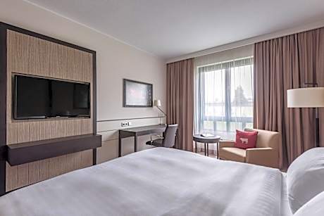 Executive Queen Room