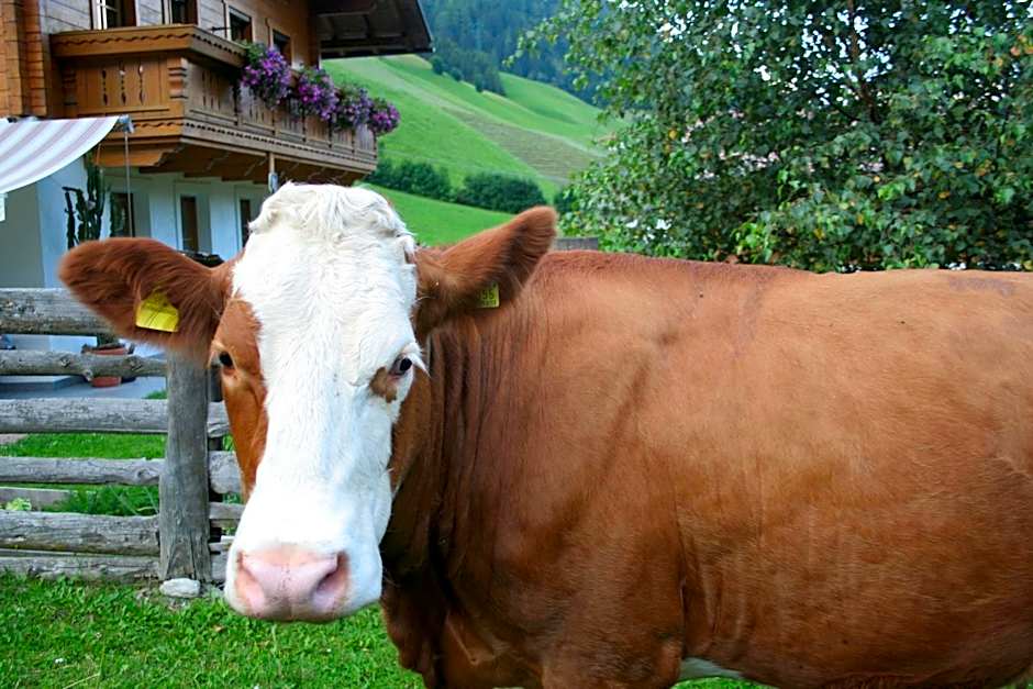 Garni Biancaneve Ruffrè-Mendola