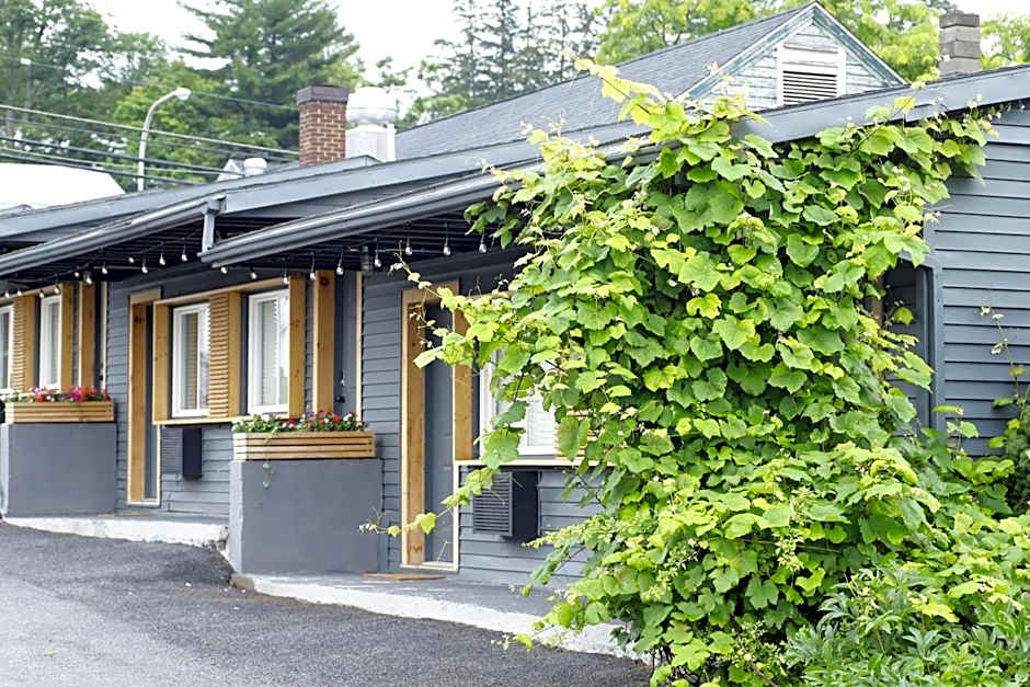 The Vine on Main