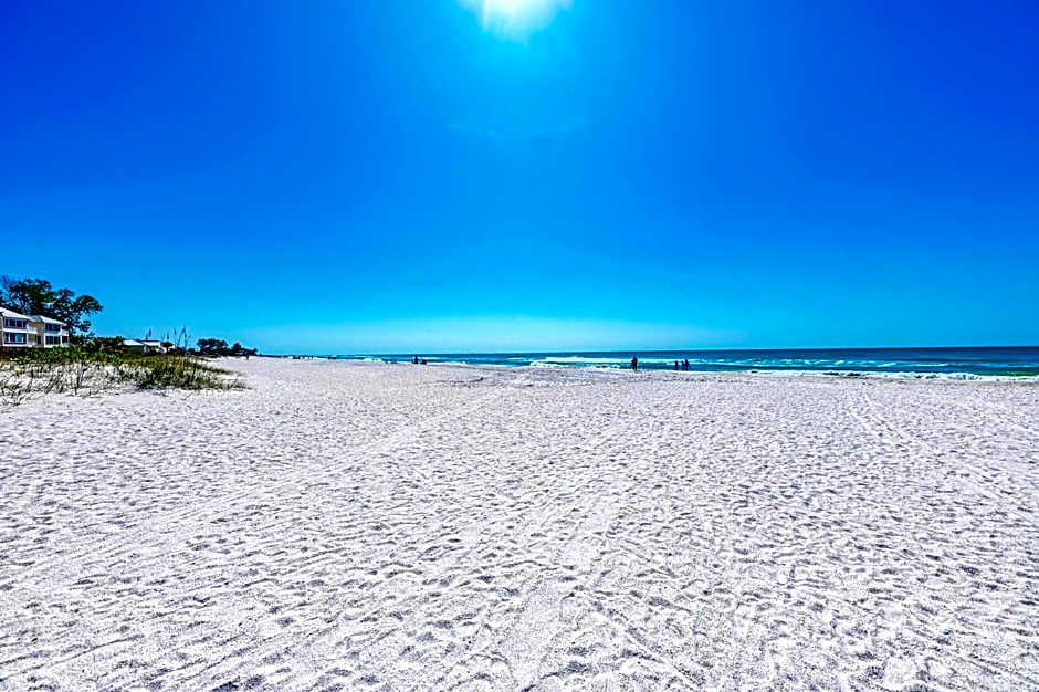 Anna Maria Island Beach Palms 5B