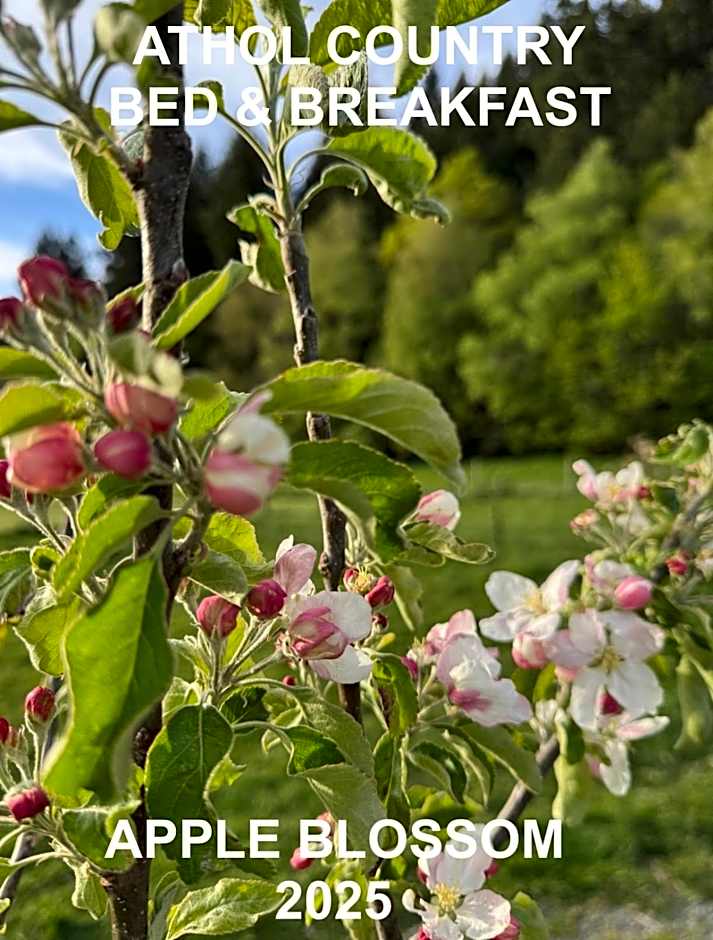 Athol Country Bed & Breakfast