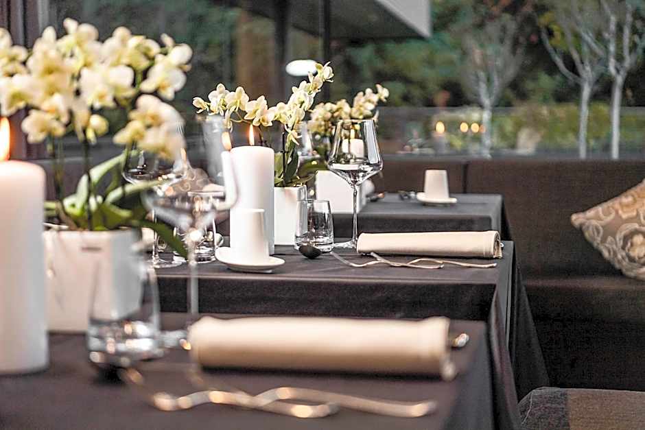 Avidea - Adults Only